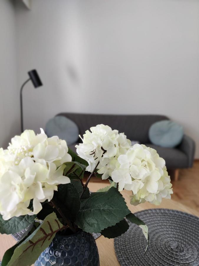 Niinivaara Apartment Saunallinen Ja Ilmastoitu Majoitus Joensuu Luaran gambar